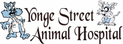 Yonge Street Animal Hospital